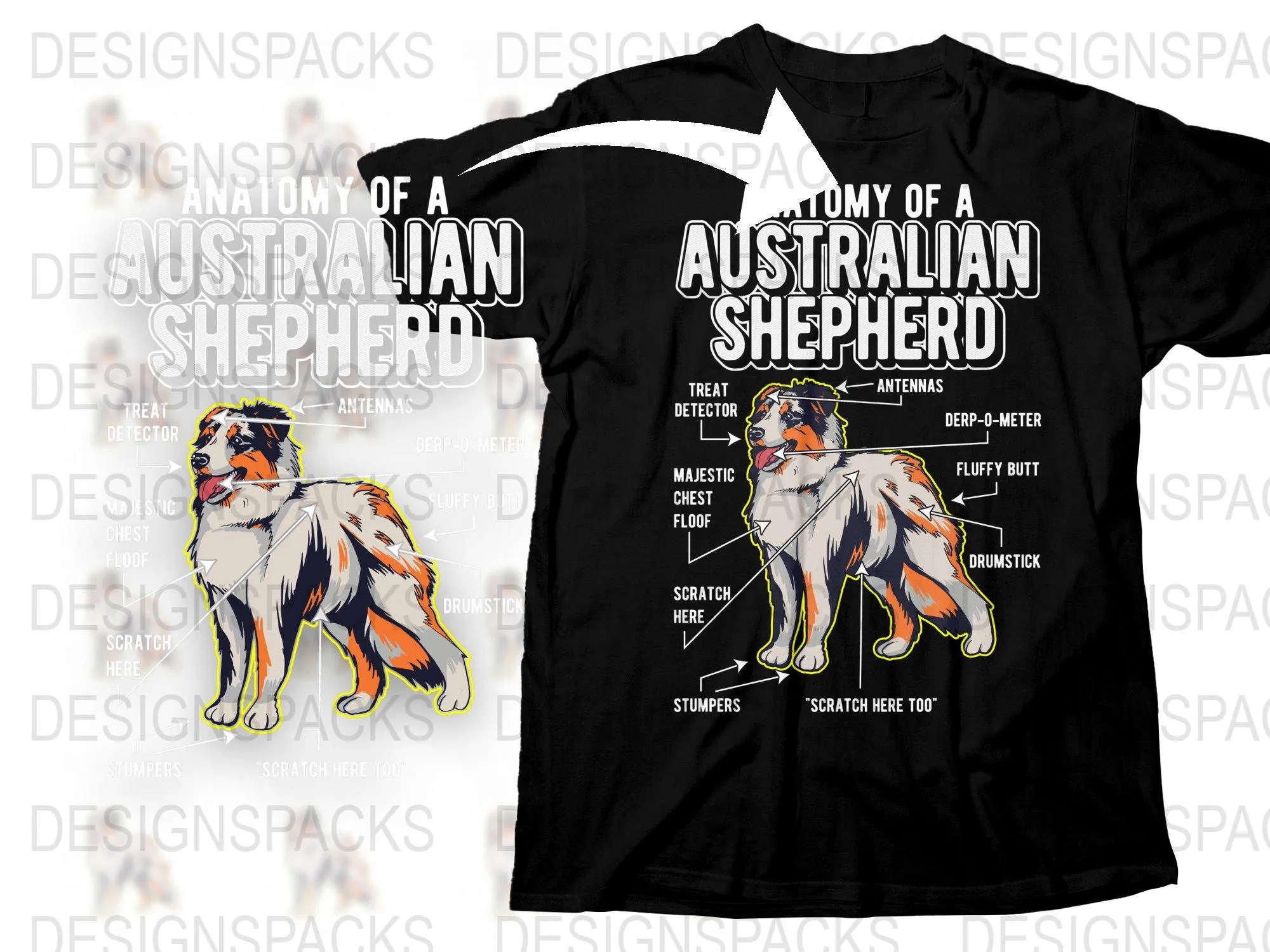 Anatomy Of A Australian Shepherd Png Digital Download