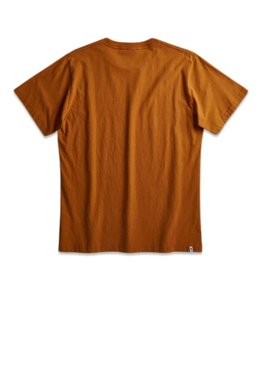 Etienne Print Tee 3471 - Pumpkin