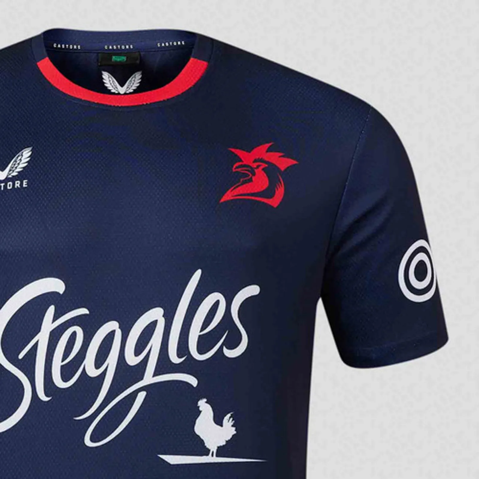 Sydney Roosters 2024 Men's Training T-Shirt NRL Rugby League by Castore