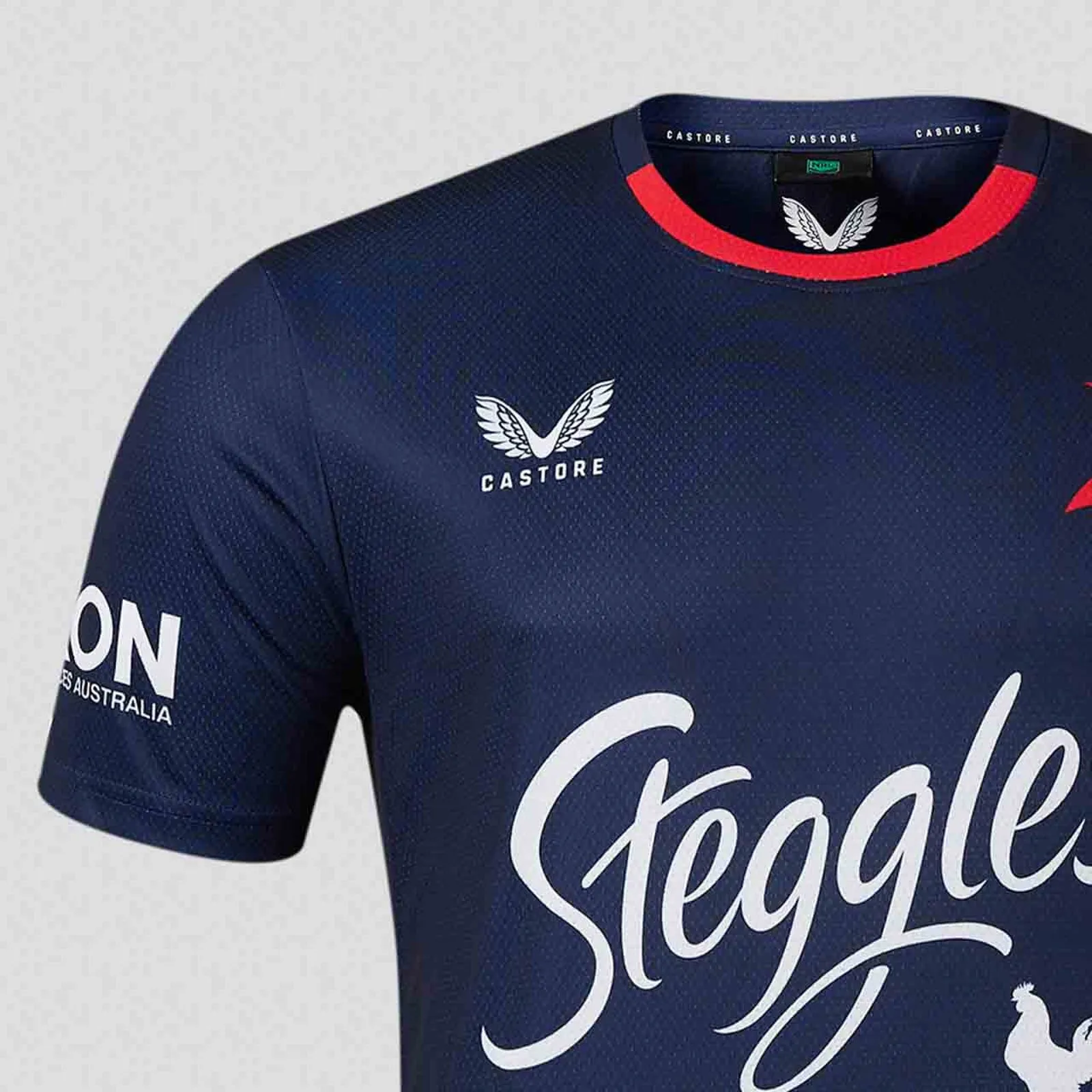 Sydney Roosters 2024 Men's Training T-Shirt NRL Rugby League by Castore
